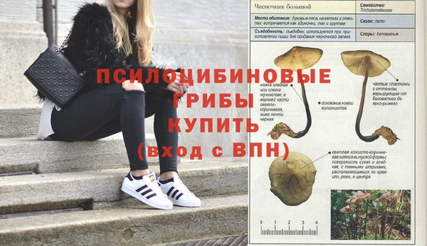 spice Алексеевка