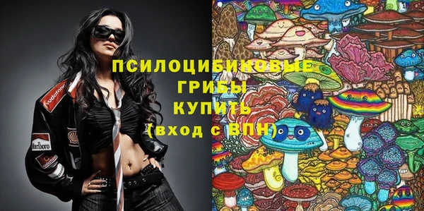 apvp Сосновка