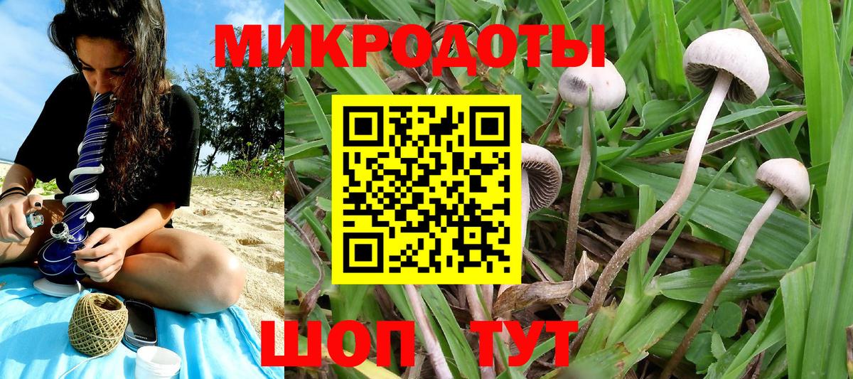Джанкой  Псилоцибиновые грибы Psilocybine cubensis  Вход с VPN 